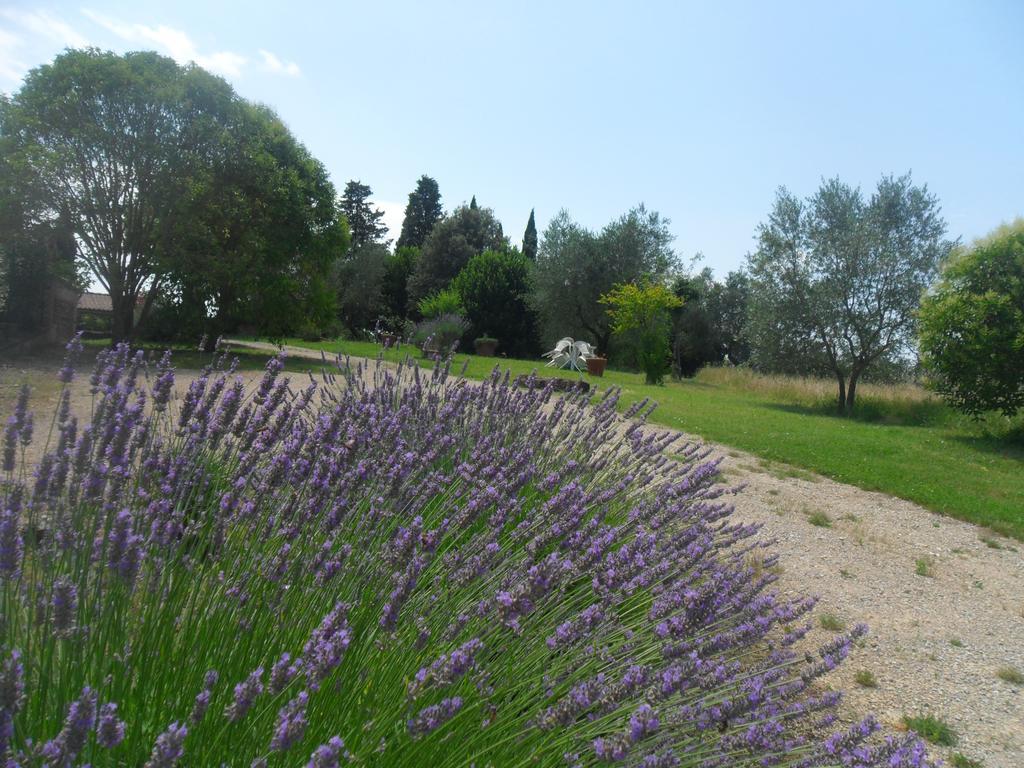 Fullino Nero Rta - Residenza Turistico Alberghiera Siena Kültér fotó