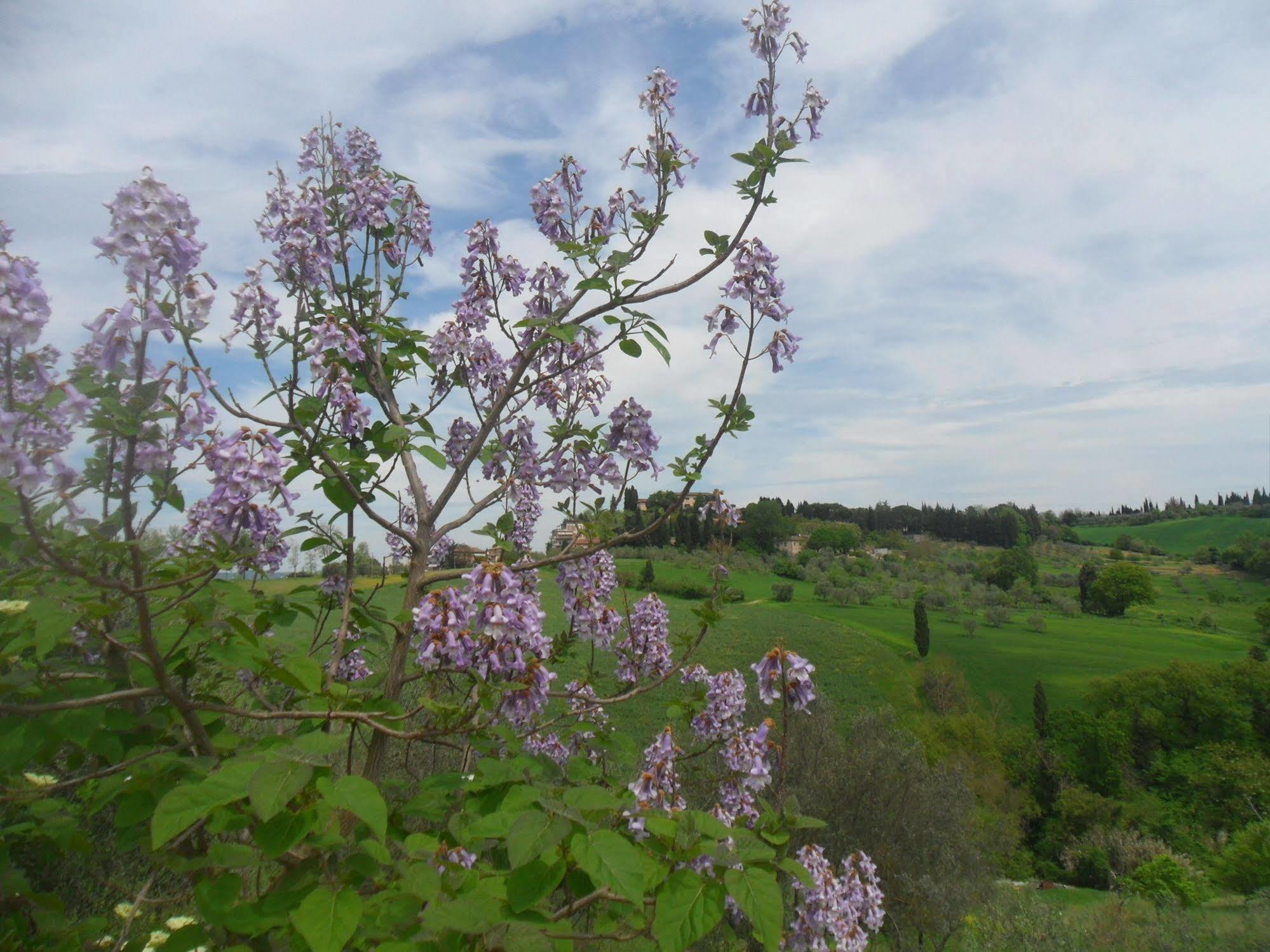 Fullino Nero Rta - Residenza Turistico Alberghiera Siena Kültér fotó